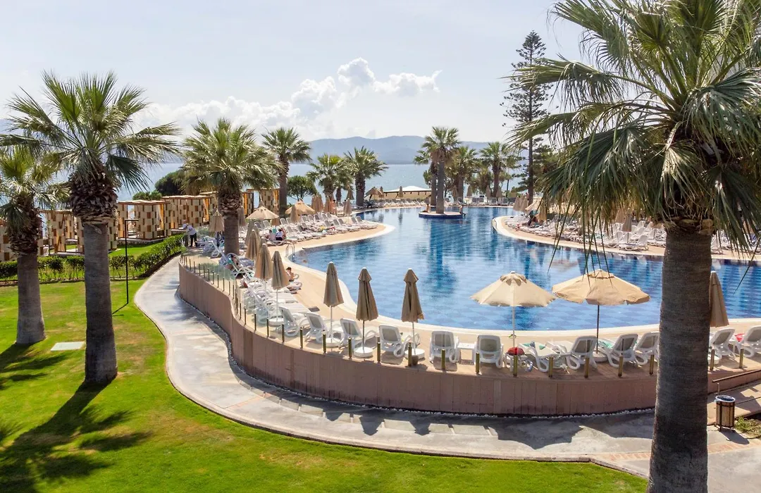 Duja Didim-1